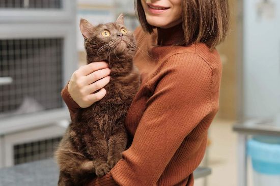 Pet Pansiyon